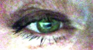 oog